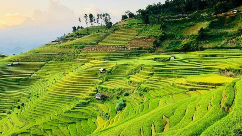 Hành Trình Một Ngày Sa Pa (6)